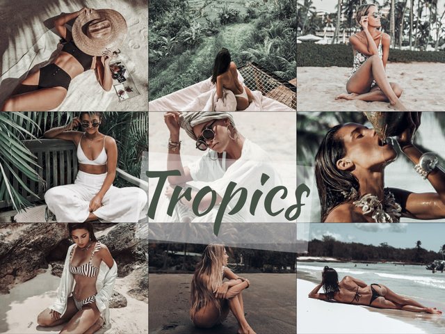 Tropics (1).jpg